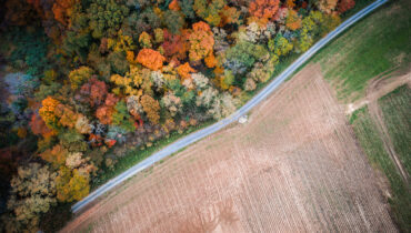 Aerial of dirt road alongside farmland and a forest in the fall.