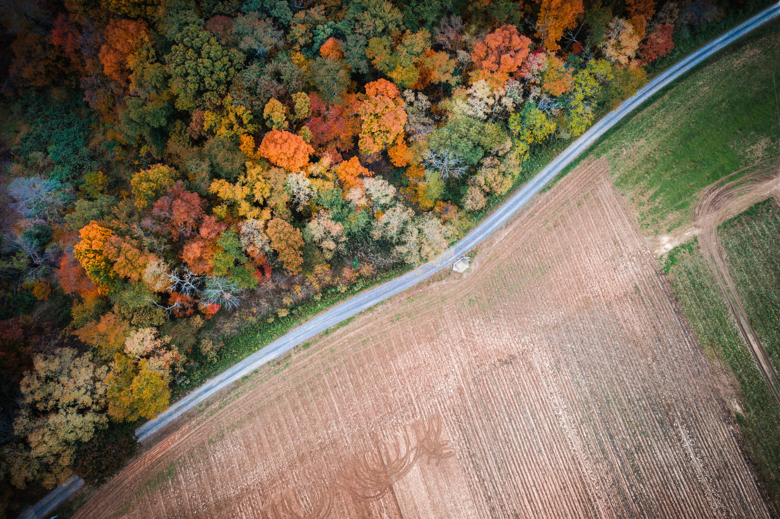 Aerial of dirt road alongside farmland and a forest in the fall.