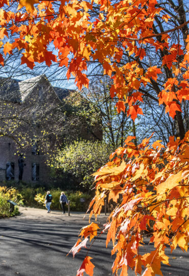 A tree with vibrant red leaves foregrounds the Brandywine River Museum of Art.