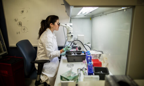 A medical researcher in a lab coat looks through a microscope in a lab.