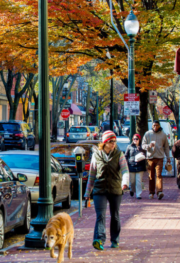 A woman walks her dog down a main street.